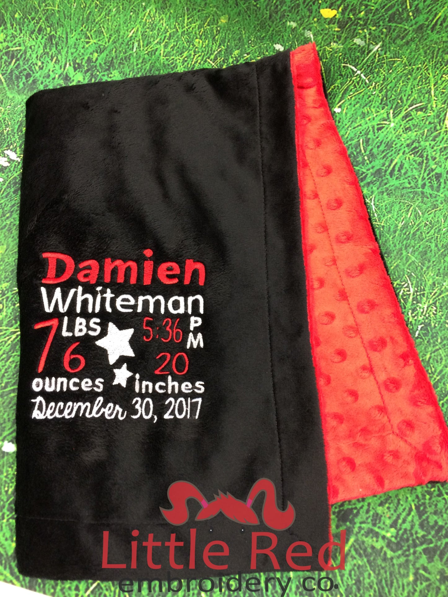 Black Minky Smooth & Red Minky Dot Blanket